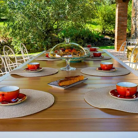 Italian With Pool Among Olive Trees Porano