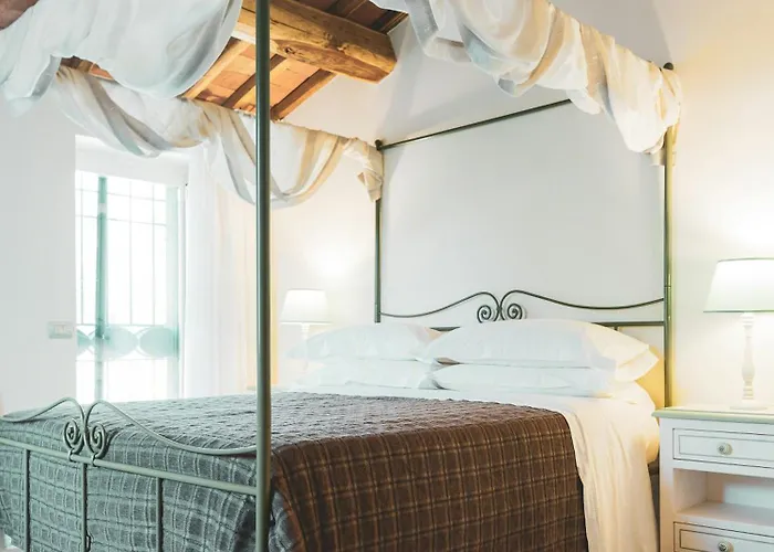 Italian With Pool Among Olive Trees *